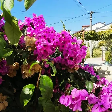 Aurora Apartment, * זאדאר